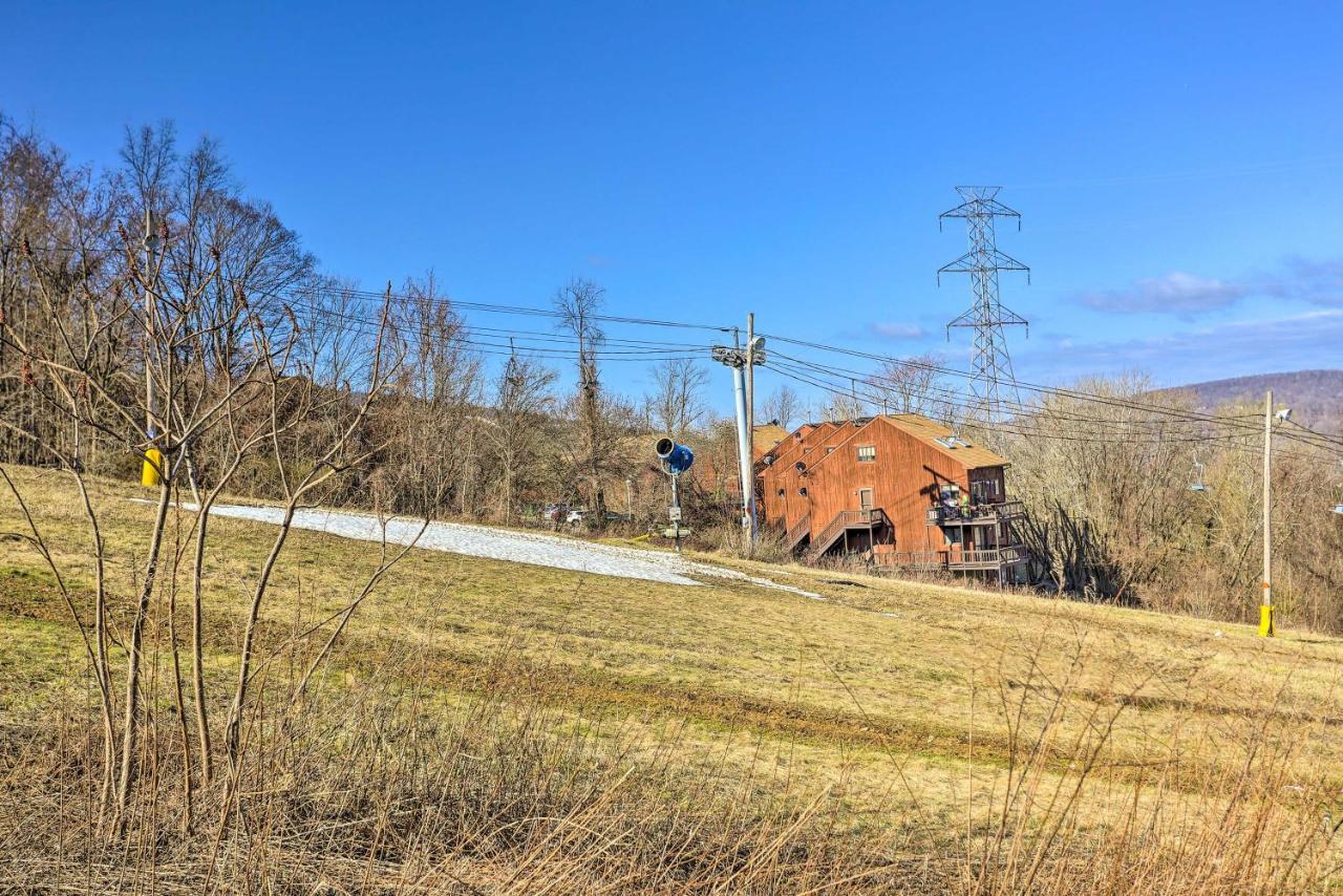 Mountain Creek Condo With Grill Walk To Lifts! バーノン エクステリア 写真